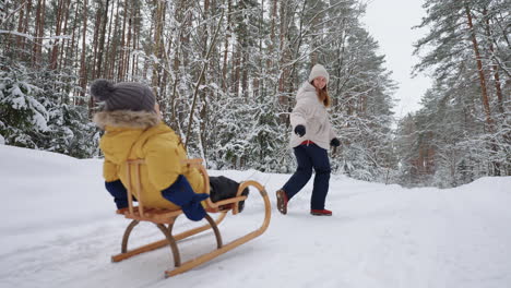 family-weekend-and-winter-vacation-in-forest-woman-sledding-her-little-son-in-coniferous-woodland